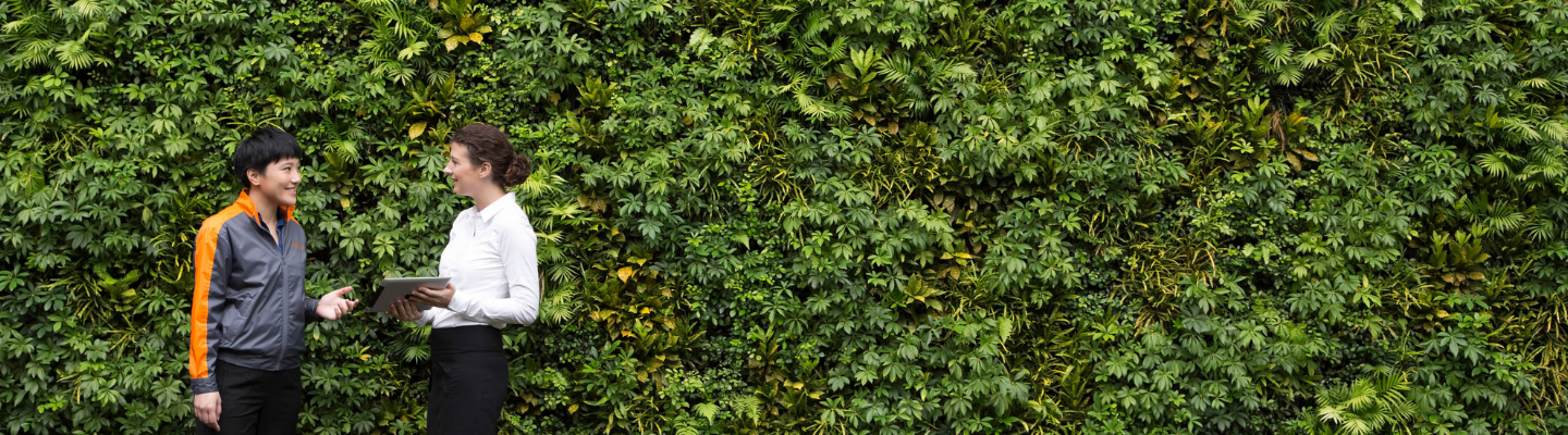 banner